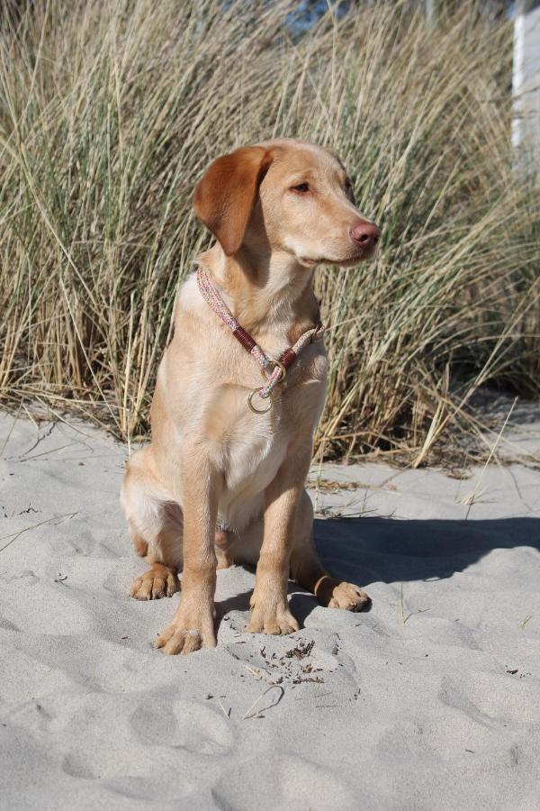 Appartamento Forsthaus Wendt Timmendorfer Strand Esterno foto