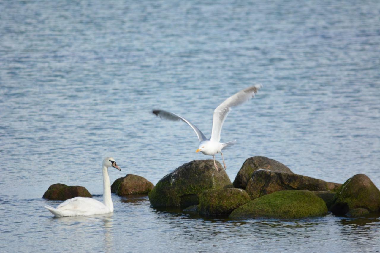 Appartamento Forsthaus Wendt Timmendorfer Strand Esterno foto